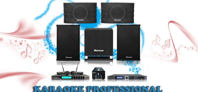 Business professional karaoke BA-02KD Business professional karaoke BA-02KD