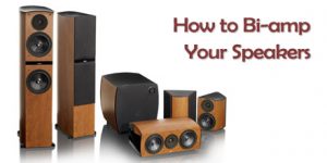 Bi-wire Speaker