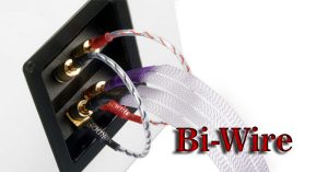 Đấu Bi-Wire