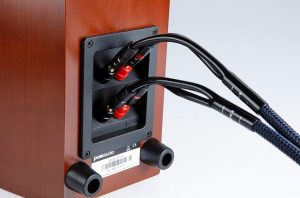 loa hỗ trợ bi-wire